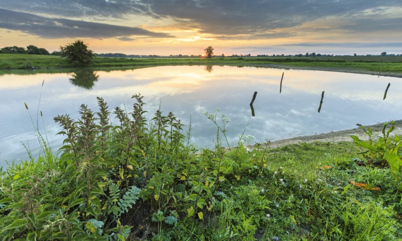 Natuurmonumenten zorgt ervoor dat fraaie riviernatuur behouden blijft