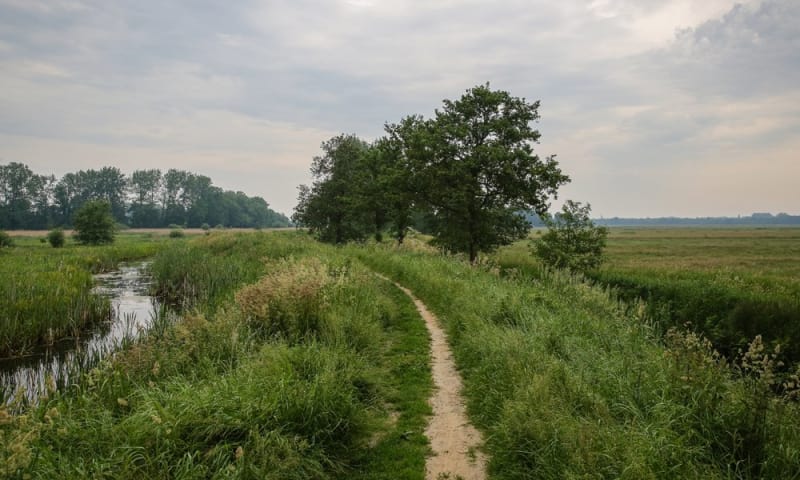 Trailrun de Onlanden