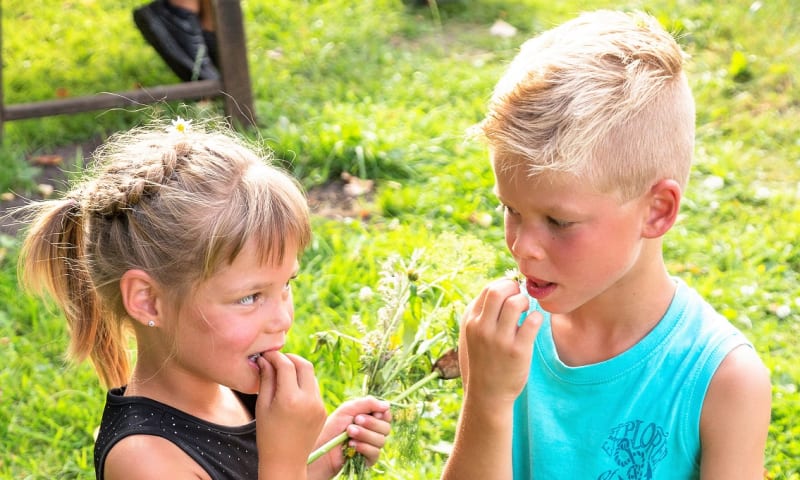 Eten uit de natuur