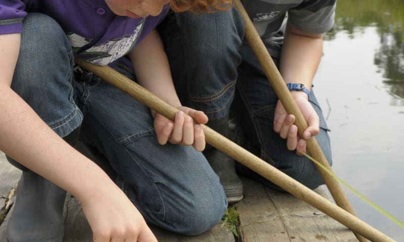 Waterbeestjes zoeken