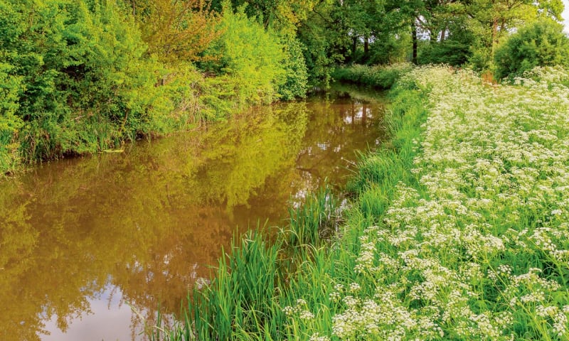 Beekdal de Beerze