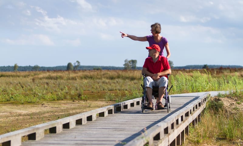 Natuur voor iedereen Dwingelderveld