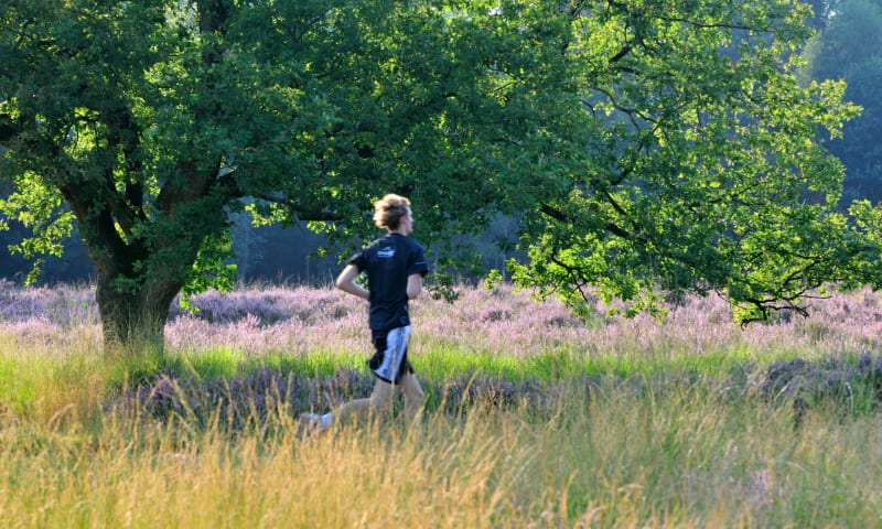 Hardlooproute Heumensoord 10 km.