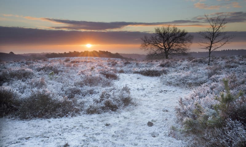 Winterwandelingen, mooiste routes met horeca | Natuurmonumenten