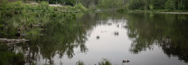 Beekdal
