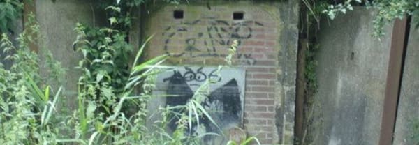 Vleermuizen in een bunker