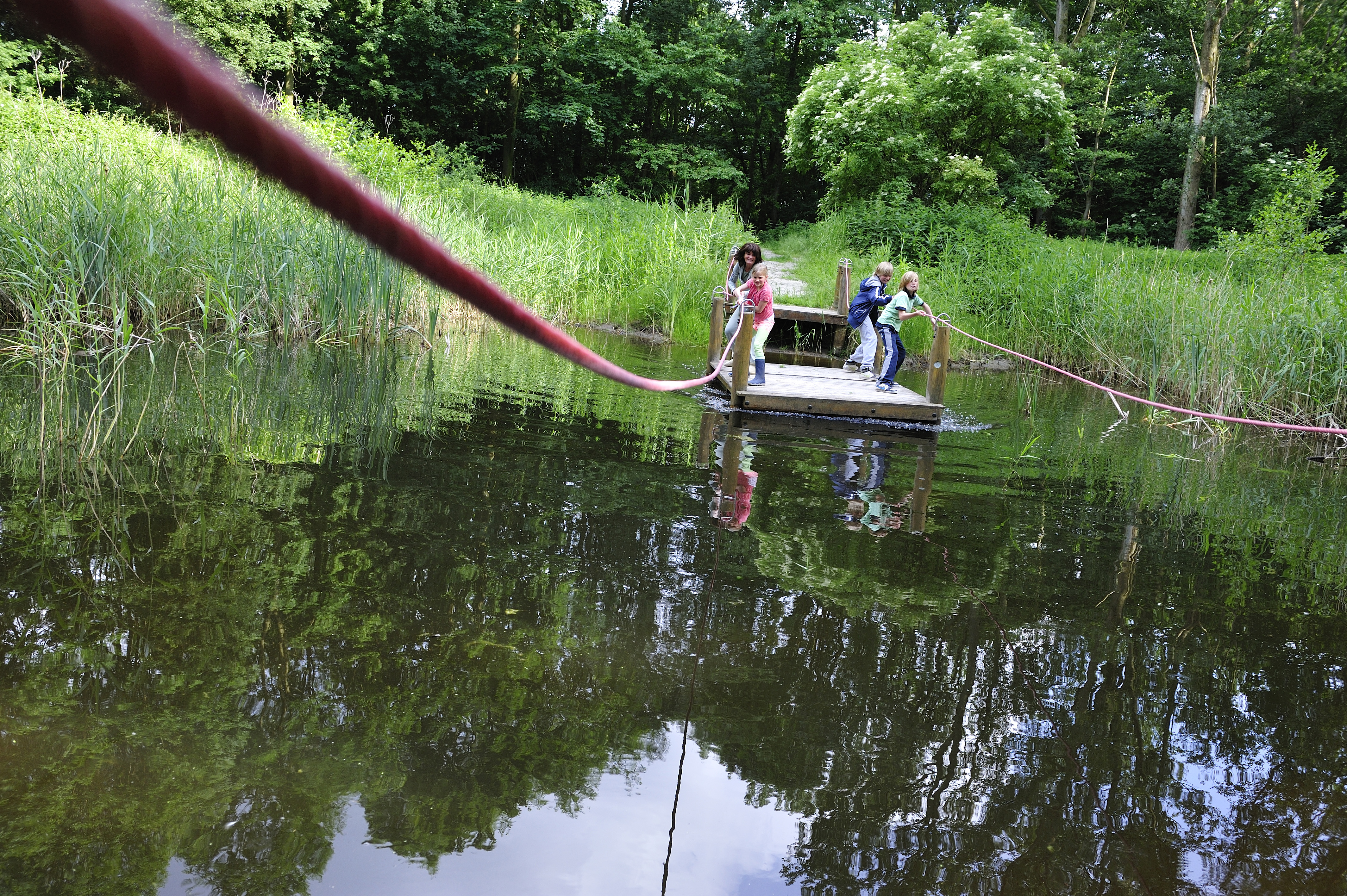 Speelbos, natuurspeeltuin of speelplaats in bos met kinderen - Mamaliefde