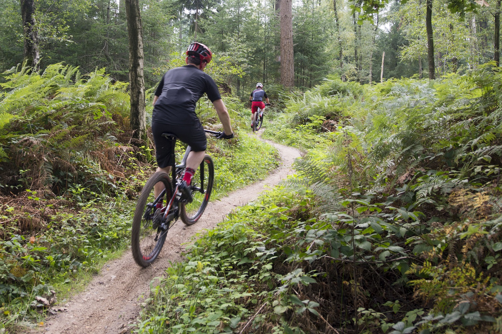 Mentor Verdragen Uitgebreid Verkooppunten MTB-vignet | Natuurmonumenten