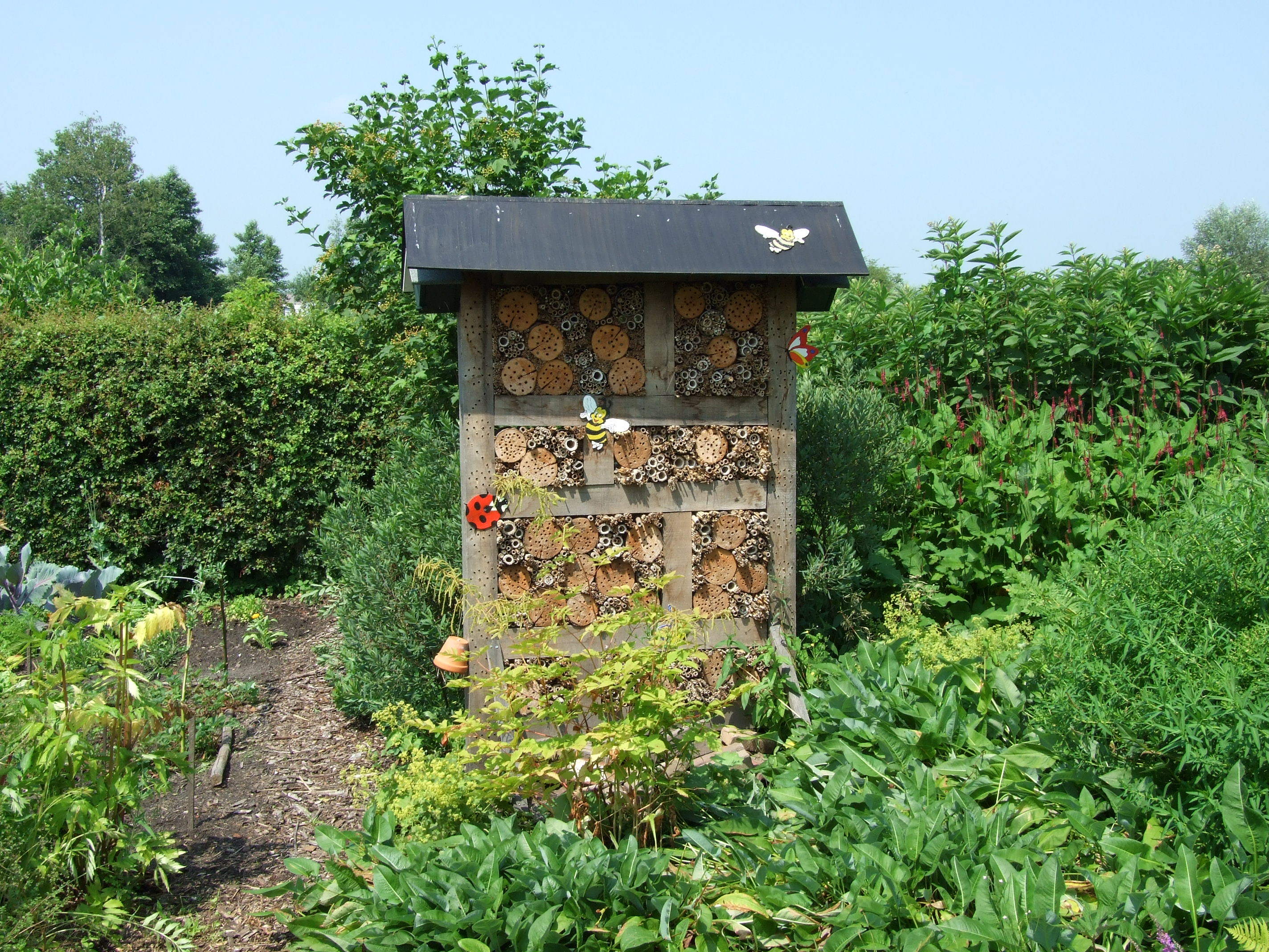 Ongekend Insectenhotels maken met boswachter Mathiska | Natuurmonumenten ME-21