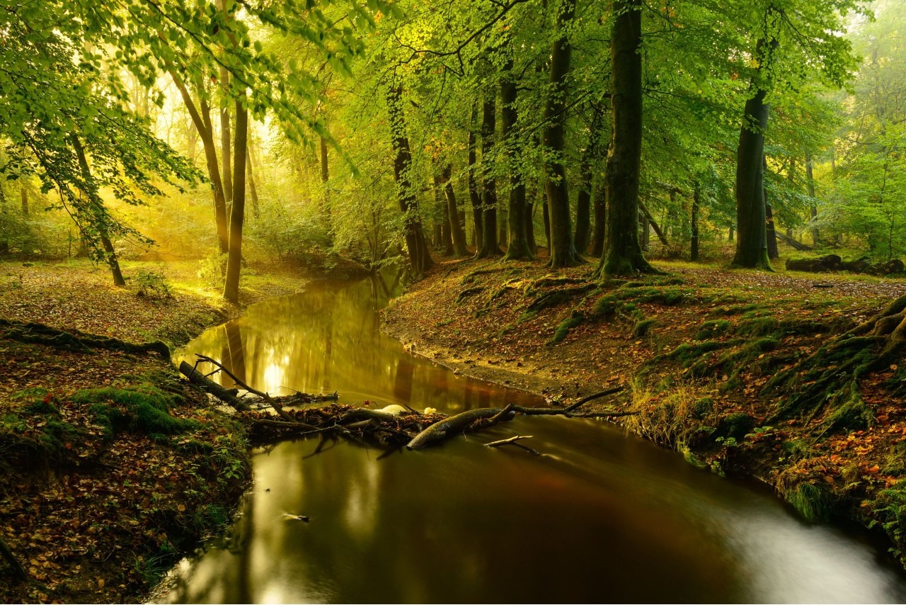 10x natuurfotografie, de mooiste plekken in de natuur | Natuurmonumenten