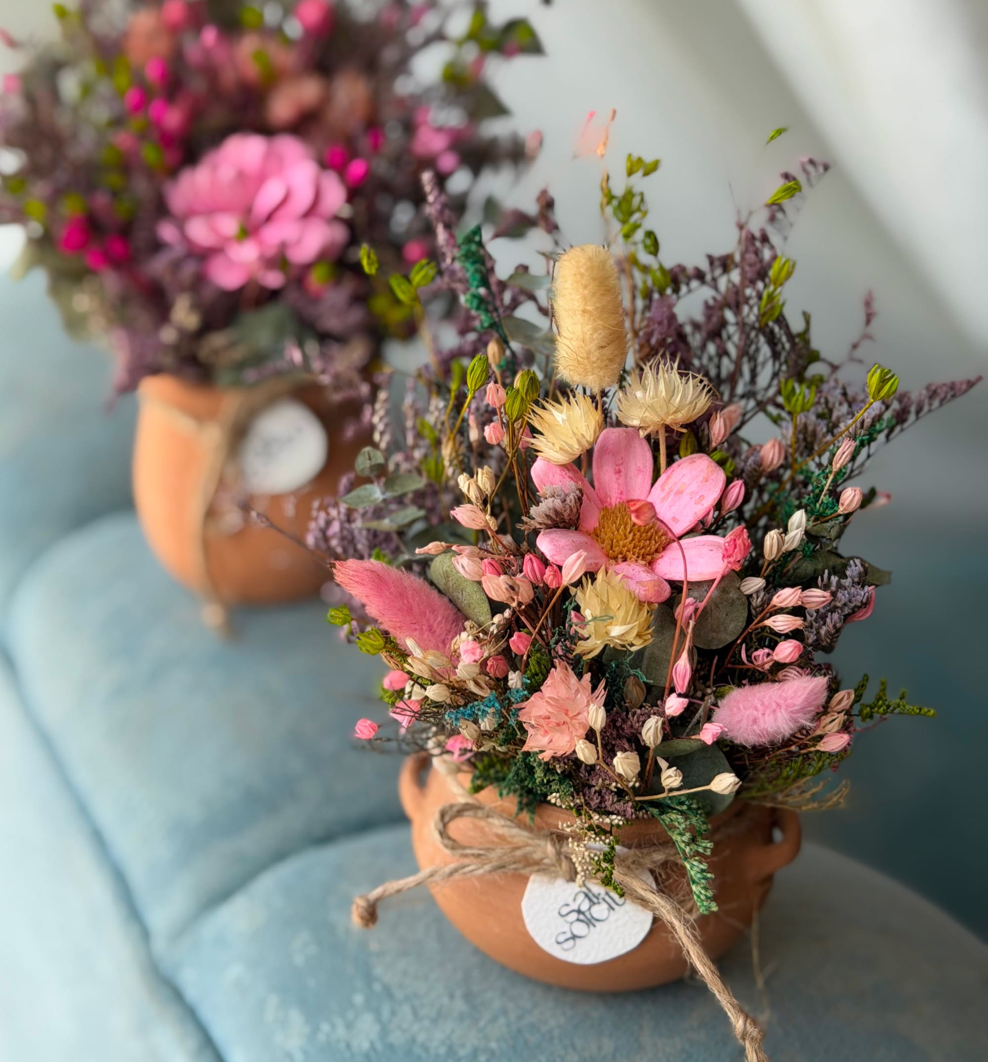 Jarroncito Garden in Pink