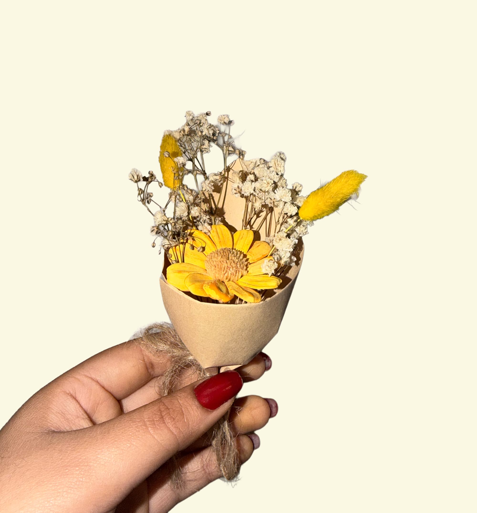 Mini Solcito