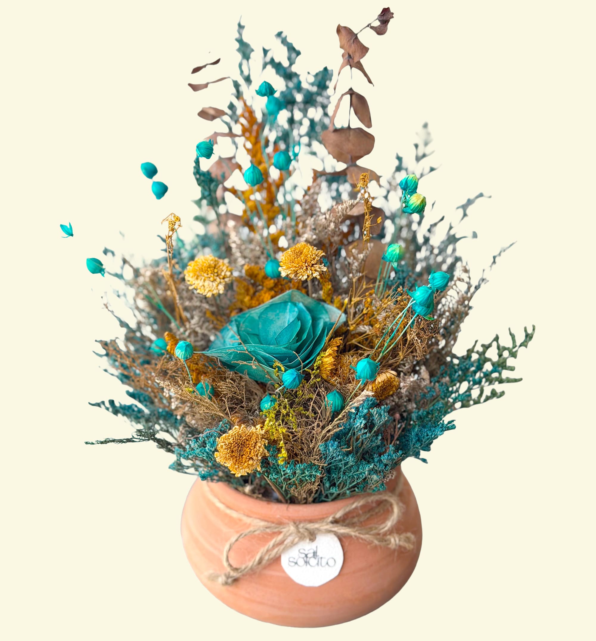 Ollita Azura