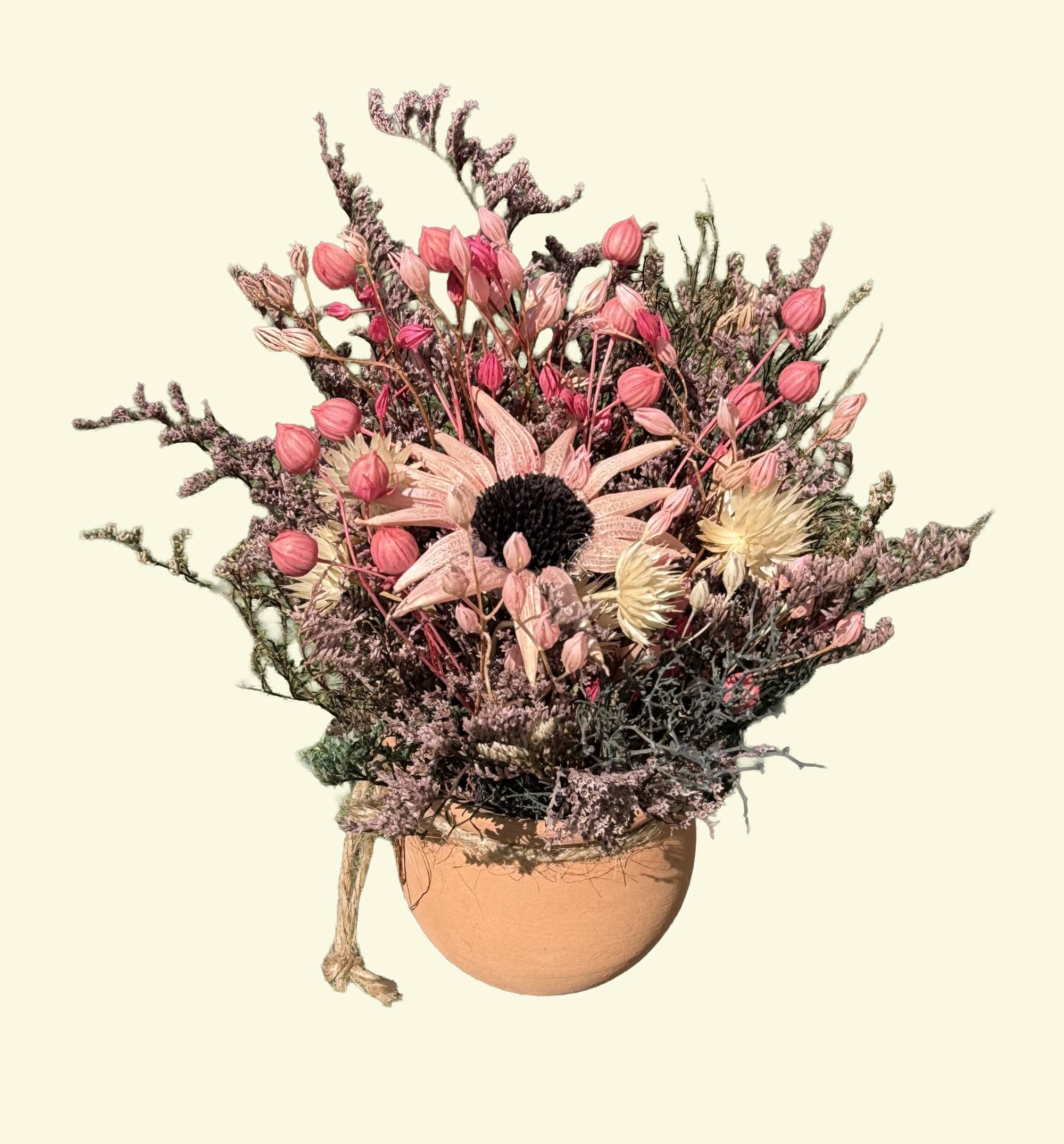 Ollita Margarite