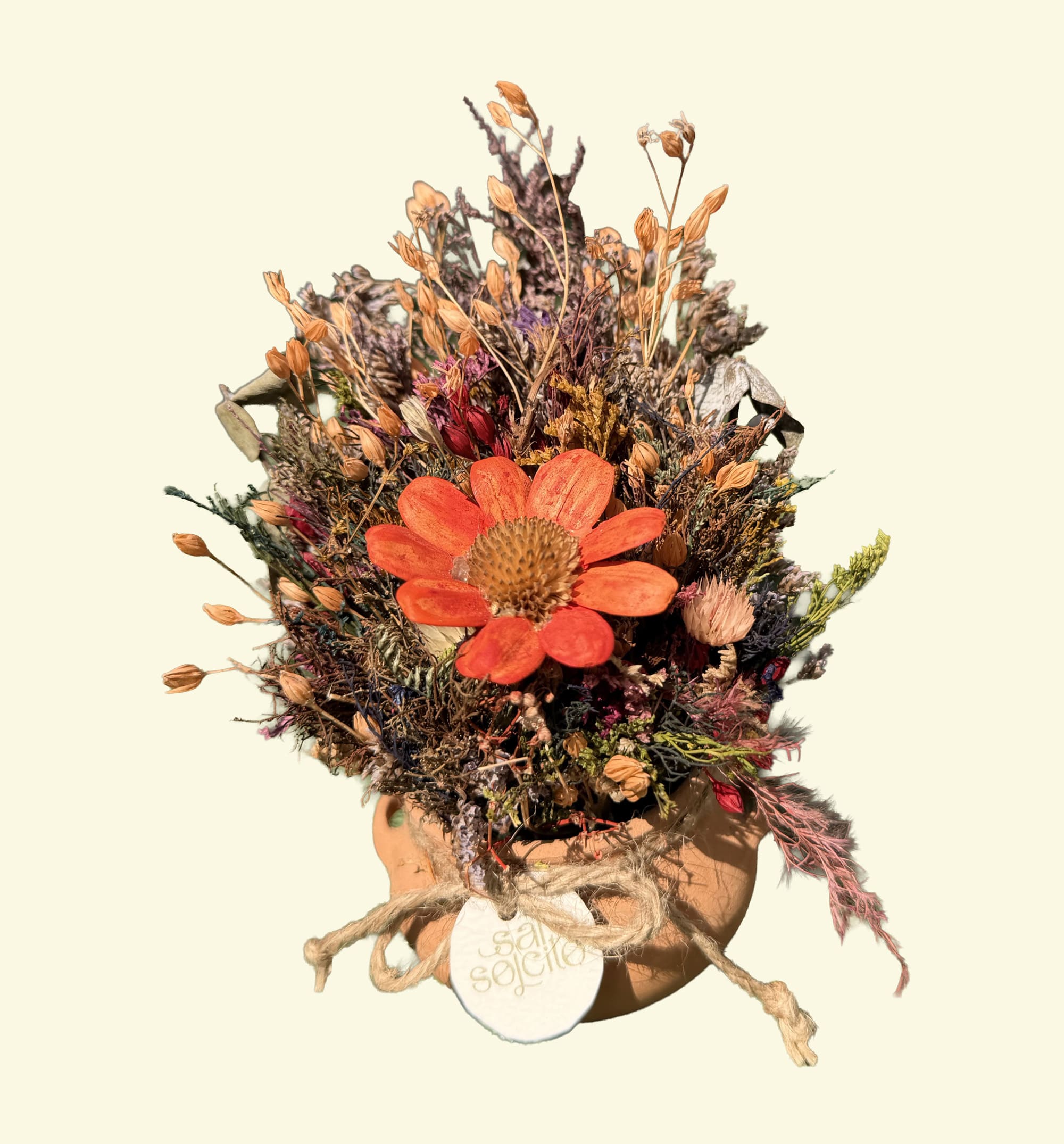 Ollita Orange