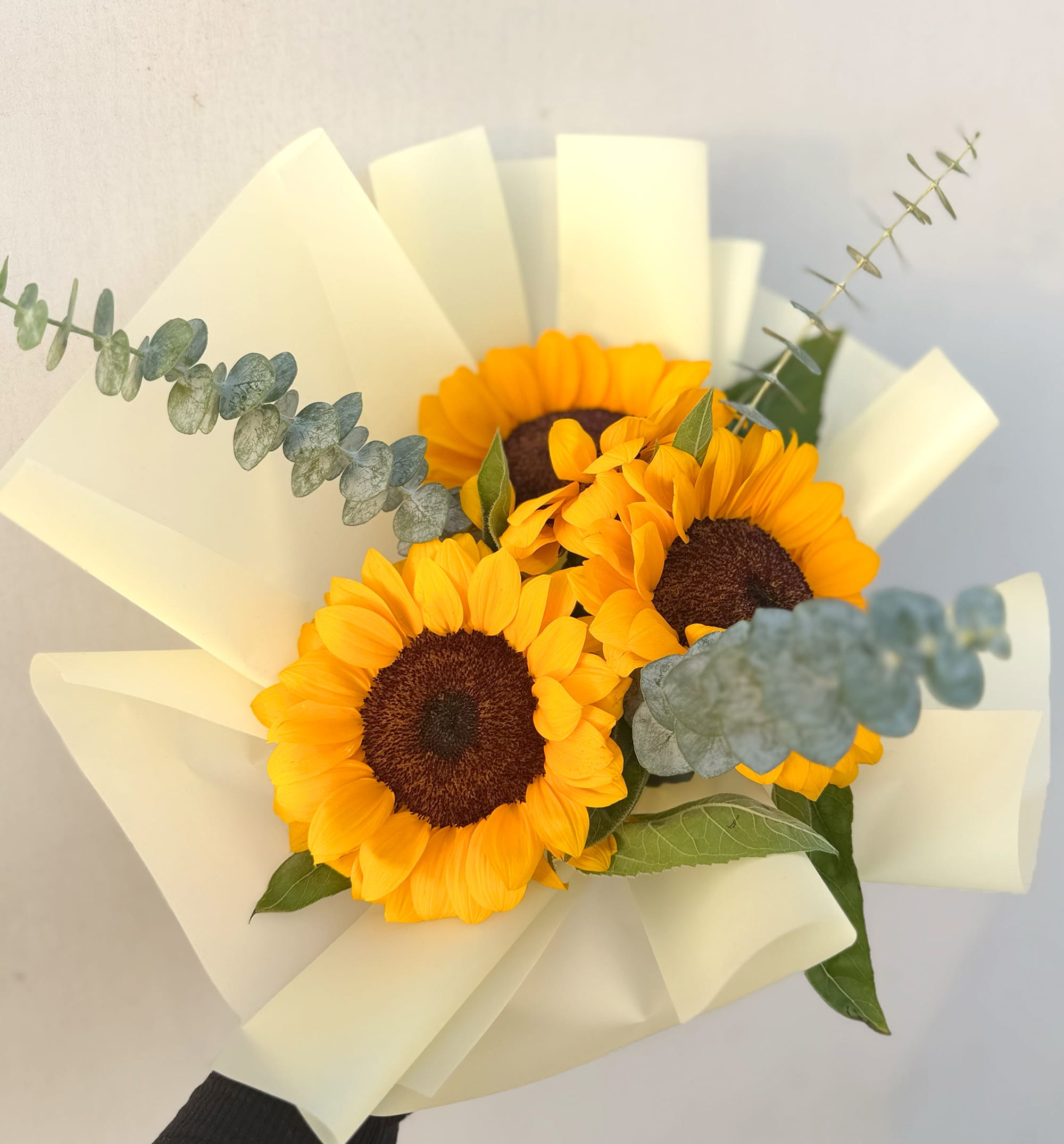 Ramo de Girasoles