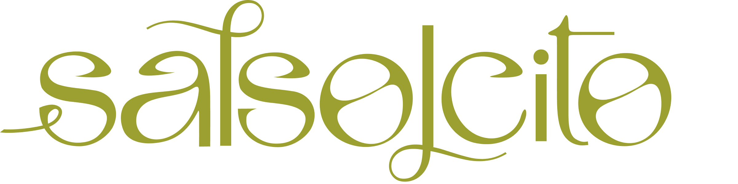 Sal Solcito