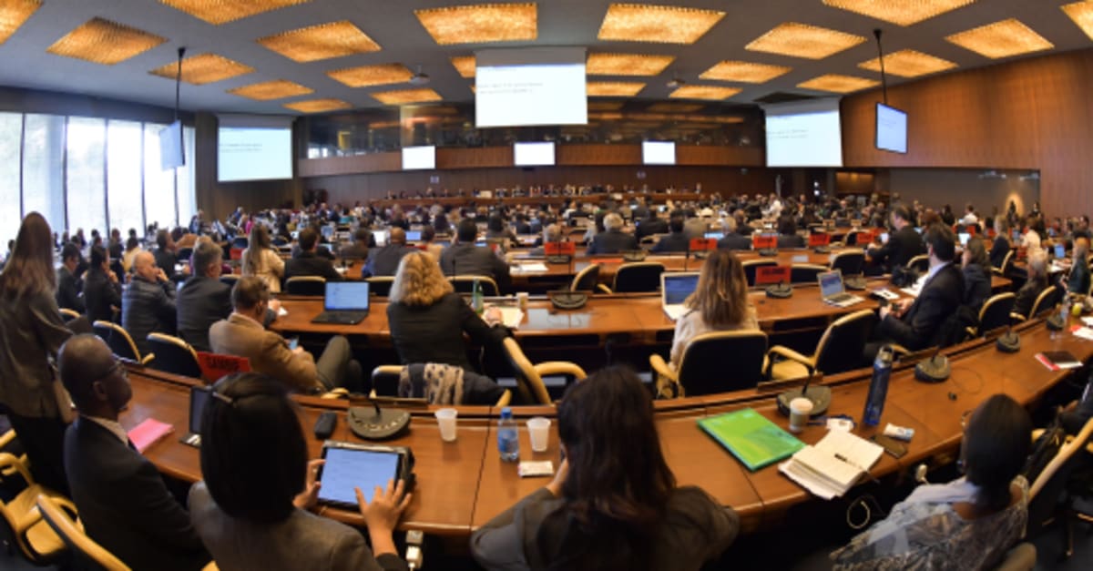 Right to strike: win for workers as ILO intervenes