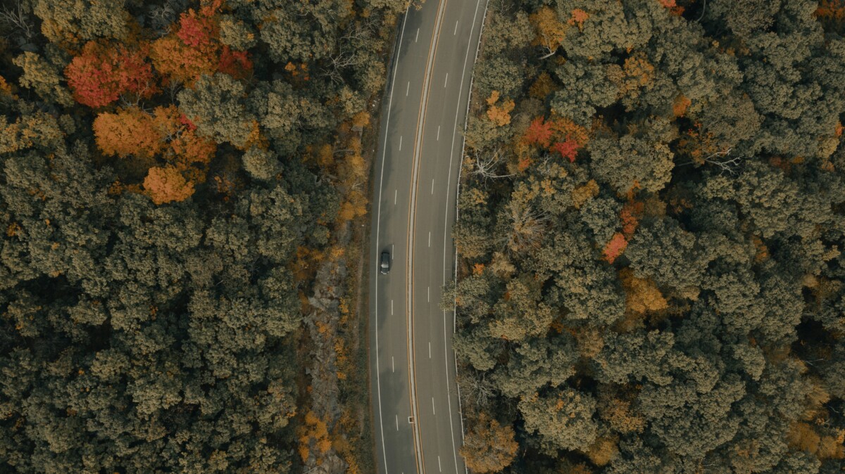 car driving on a road on a fall day