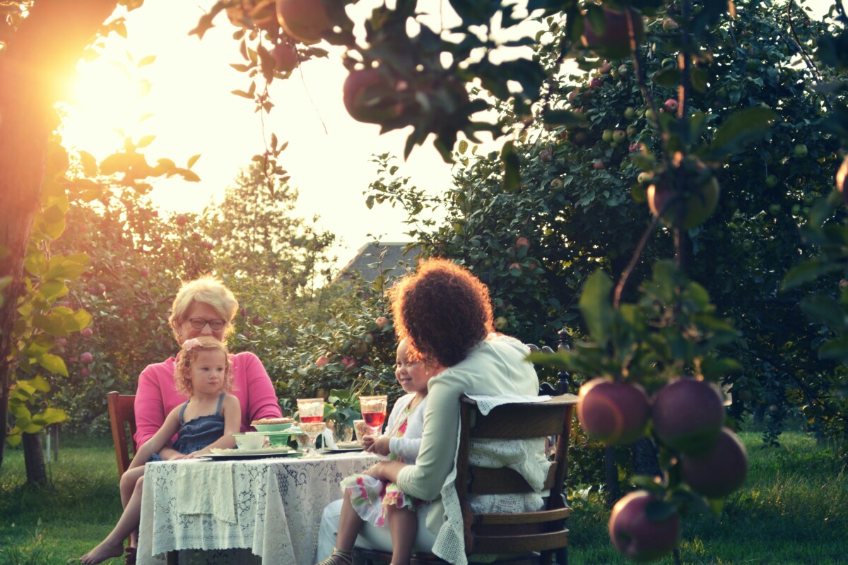 family having a picnic