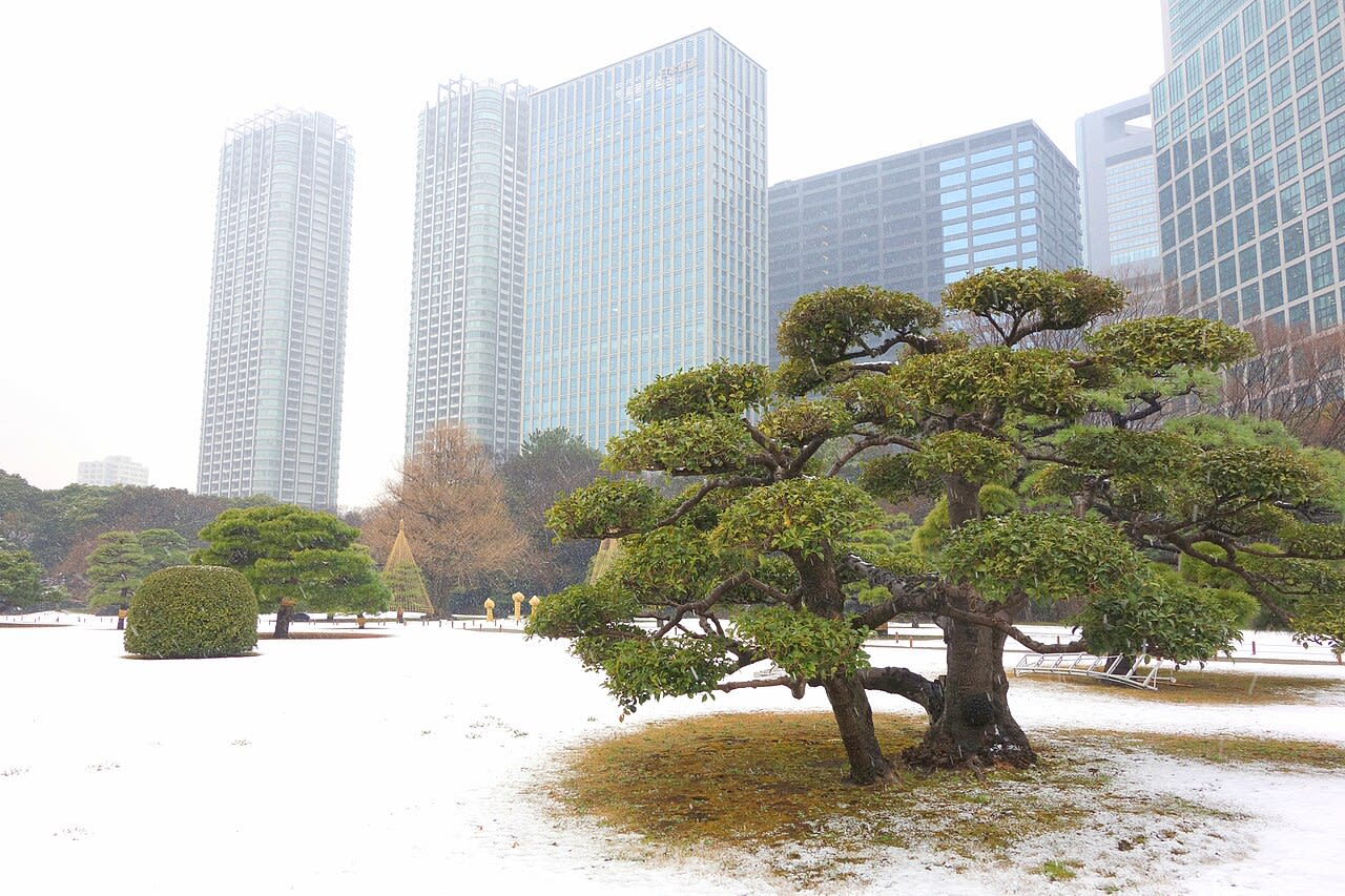 Your First Winter in Japan: Snow, Heating Bills, and Health