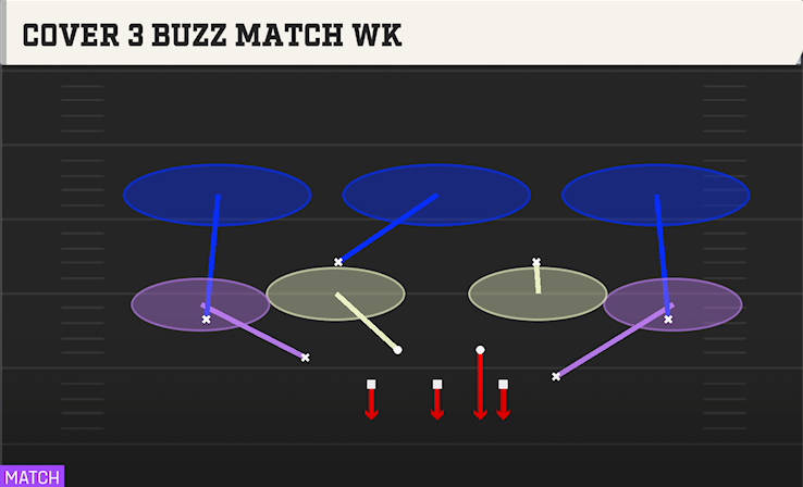 COVER 3 BUZZ MATCH WK play diagram College Football 27