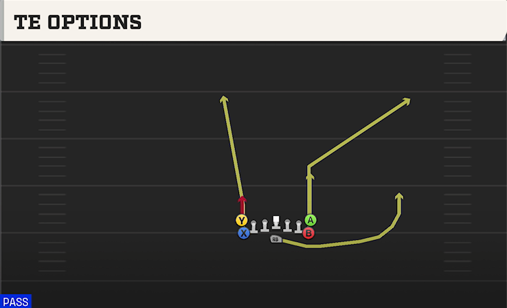 TE OPTIONS play diagram College Football 27