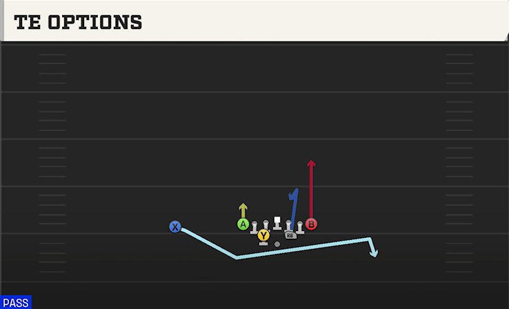 TE OPTIONS play diagram College Football 27