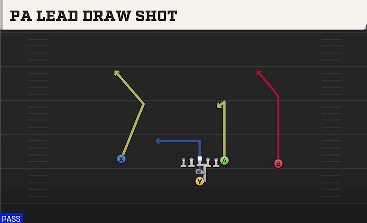 PA LEAD DRAW SHOT play diagram College Football 27