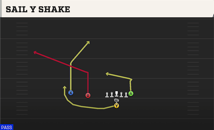SAIL Y SHAKE play diagram College Football 27