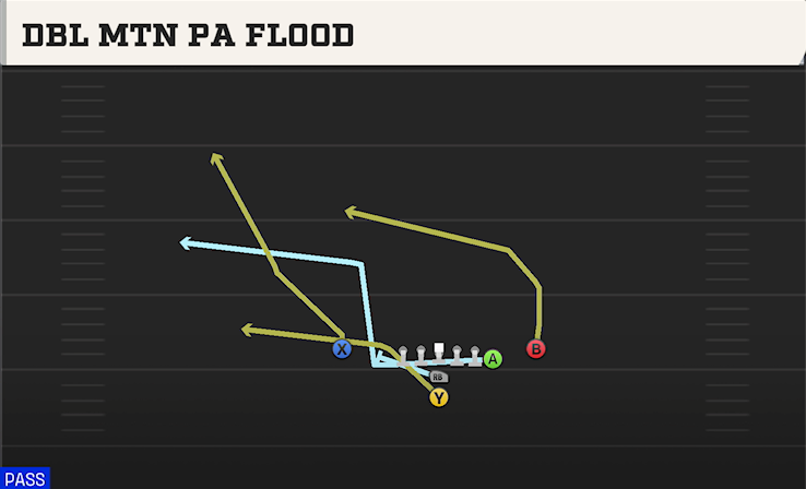 DBL MTN PA FLOOD play diagram College Football 27