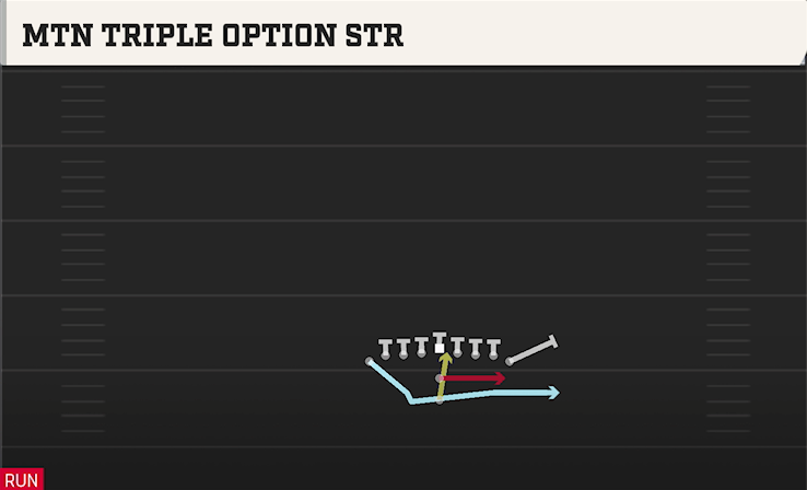 MTN TRIPLE OPTION STR play diagram College Football 27