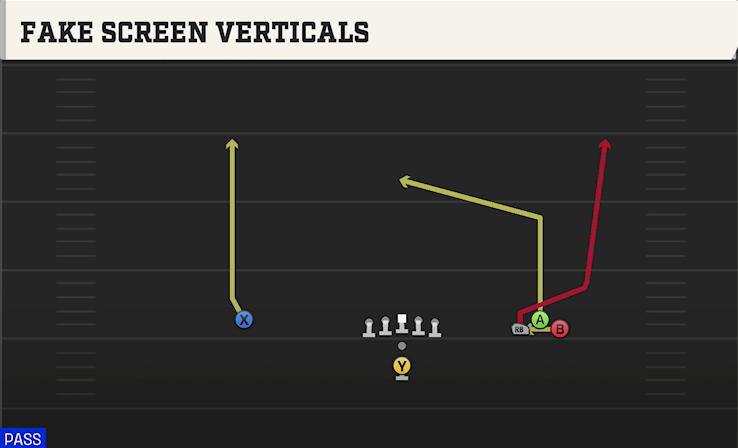 FAKE SCREEN VERTICALS play diagram College Football 27