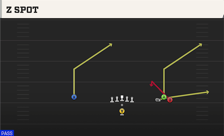 Z SPOT play diagram College Football 27