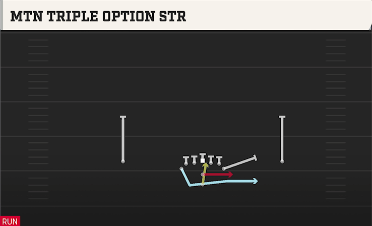 MTN TRIPLE OPTION STR play diagram College Football 27