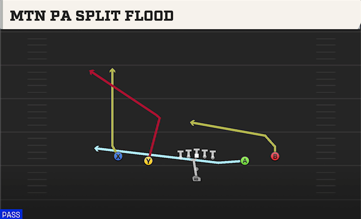MTN PA SPLIT FLOOD play diagram College Football 27