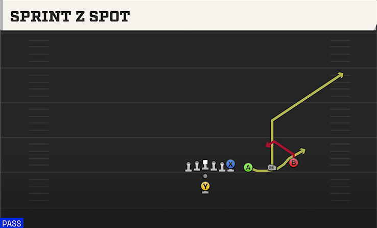 SPRINT Z SPOT play diagram College Football 27