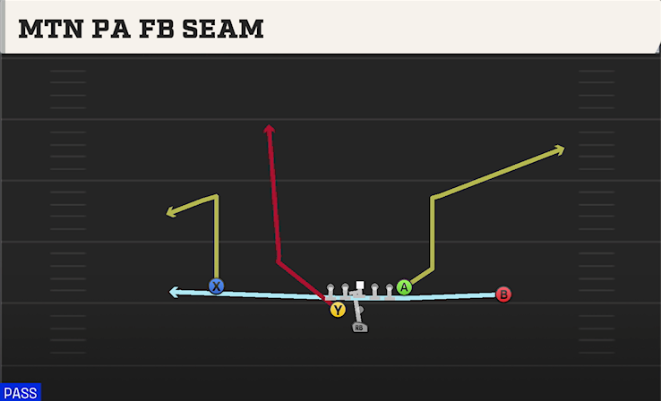 MTN PA FB SEAM play diagram College Football 27