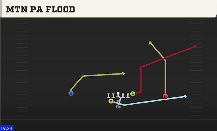 MTN PA FLOOD play diagram College Football 27