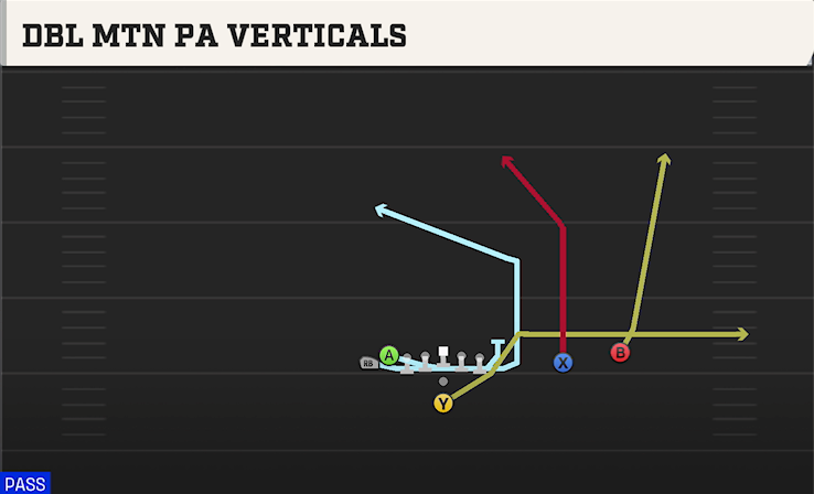 DBL MTN PA VERTICALS play diagram College Football 27
