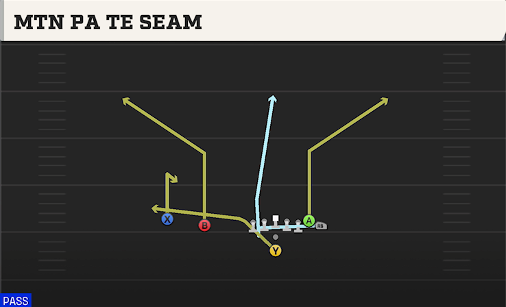 MTN PA TE SEAM play diagram College Football 27