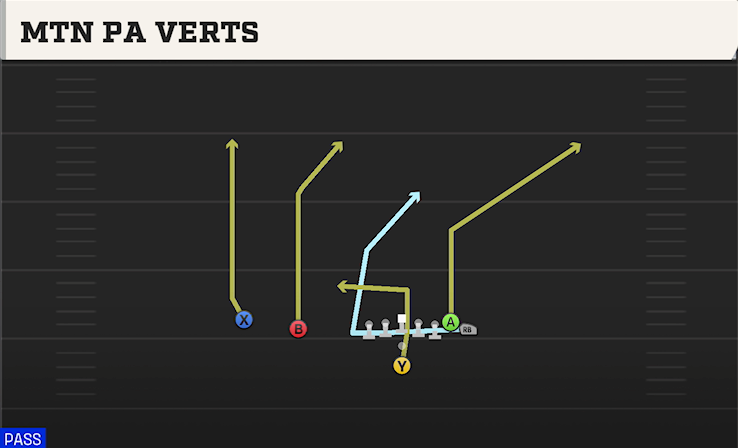 MTN PA VERTS play diagram College Football 27