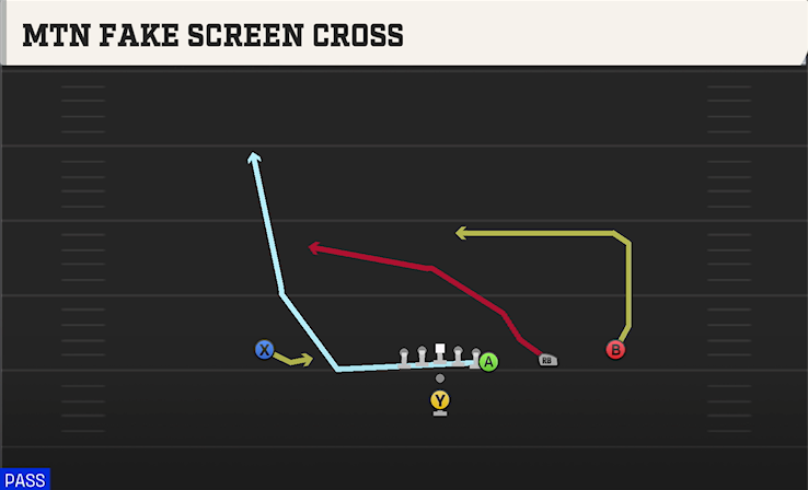 MTN FAKE SCREEN CROSS play diagram College Football 27