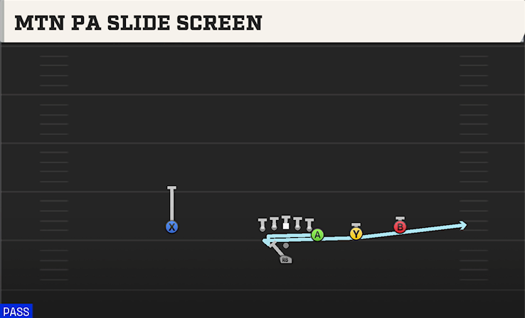 MTN PA SLIDE SCREEN play diagram College Football 27