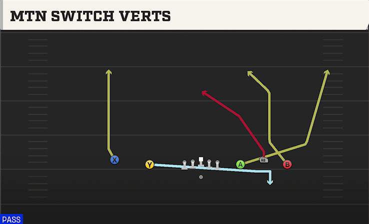 MTN SWITCH VERTS play diagram College Football 27