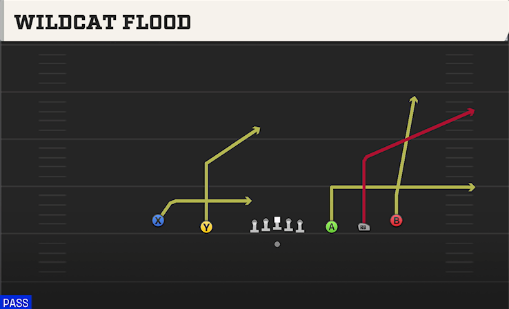 WILDCAT FLOOD play diagram College Football 27