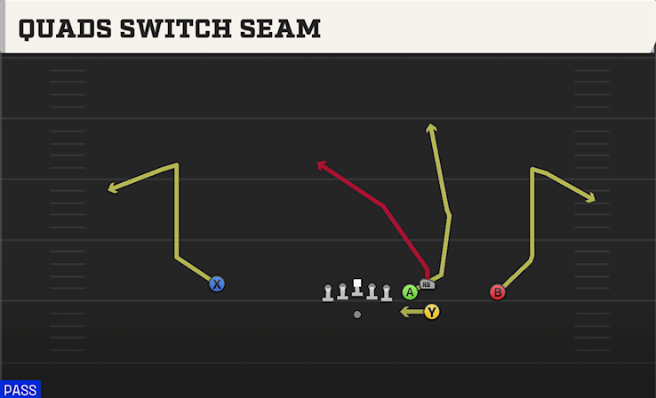 QUADS SWITCH SEAM play diagram College Football 27