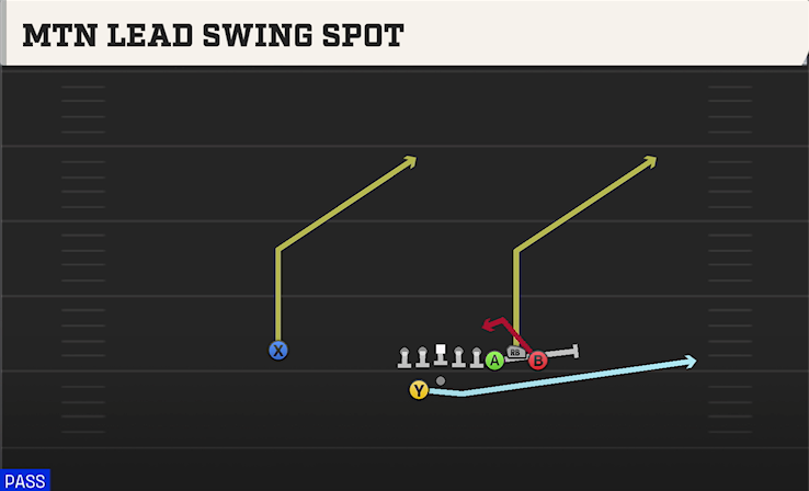 MTN LEAD SWING SPOT play diagram College Football 27