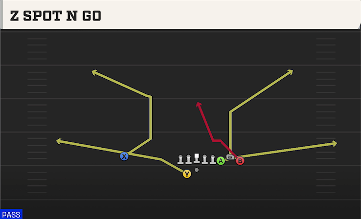 Z SPOT N GO play diagram College Football 27