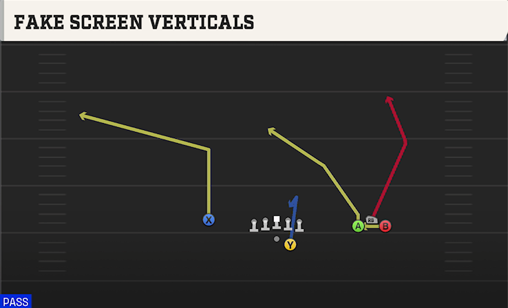 FAKE SCREEN VERTICALS play diagram College Football 27